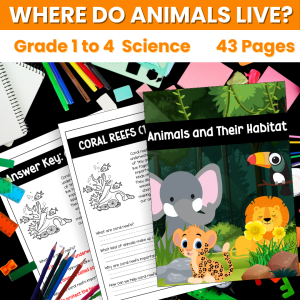 Animals and Their Habitat