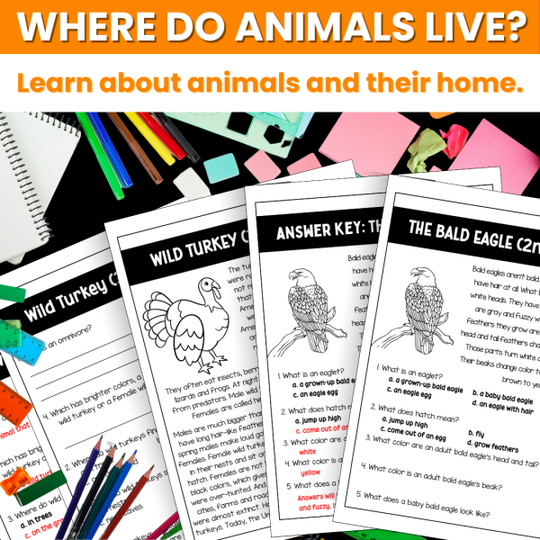 Animals and Their Habitat - Image 2