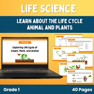 Life Cycle of a Butterfly, Plant, and Frog PowerPoint