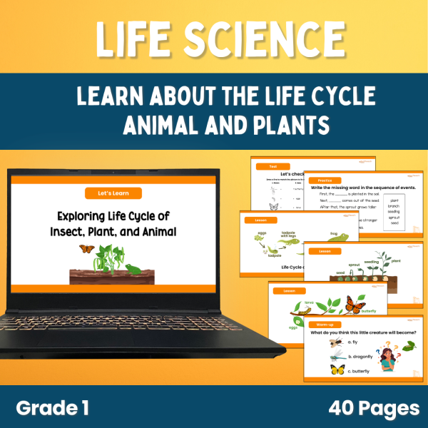 Life Cycle of a Butterfly, Plant, and Frog PowerPoint