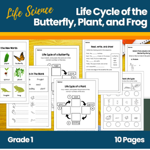 Life Cycle of a Butterfly, Plant, and Frog Worksheet