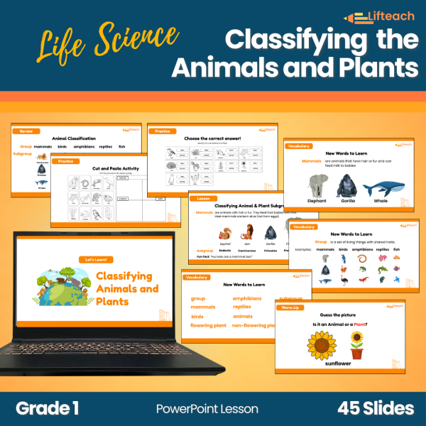 Classifying Plants and Animals Powerpoint - Lifteach