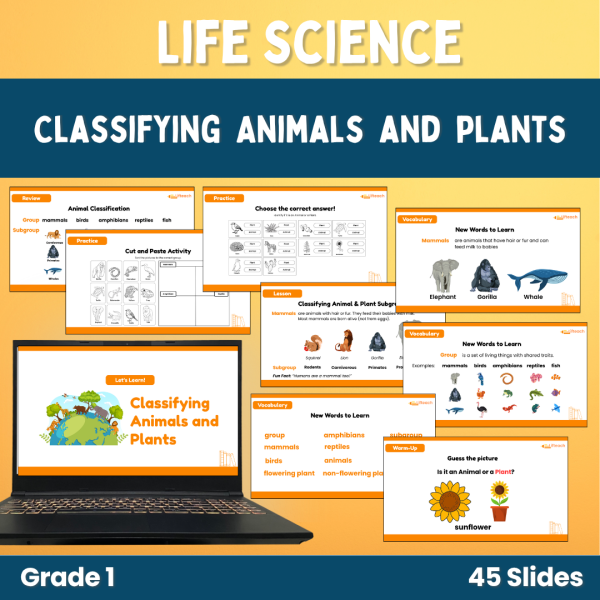 Classifying Plants and Animals Powerpoint