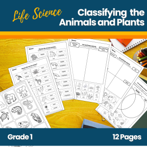 Classifying the Animals and Plants Worksheet